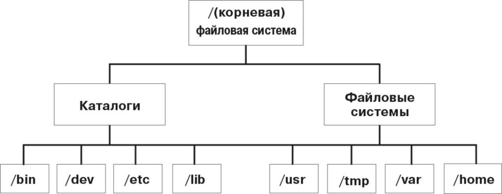 Фото 80 — Файловая структура операционной системы