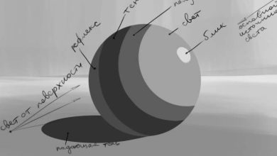 Photo of Тени и свет в реалистичном рисунке