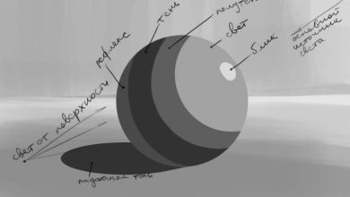 Photo of Тени и свет в рисунке: создание объема