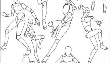 Photo of Рисуем анатомию человека