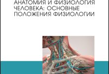 Photo of Анатомия человека: основные принципы