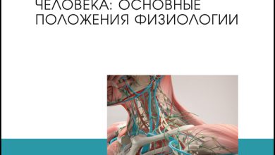 Photo of Анатомия человека: основные принципы