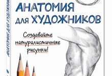 Photo of Основы анатомии для художников