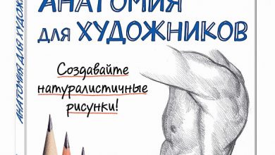Photo of Основы анатомии для художников