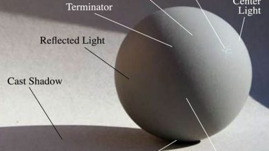 Photo of Тень и свет: создаем объем