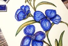 Photo of Искусство цветов в рисунке