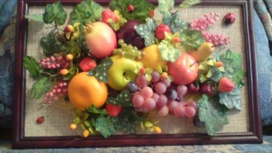 Photo of Плоды и овощи на холсте: мастер-класс