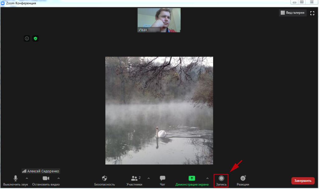 Фото 63 — Zoom: как проводить эффективные онлайн-встречи