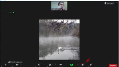 Photo of Zoom: как проводить эффективные онлайн-встречи