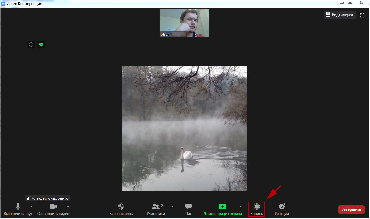 Фото 63 — Zoom: как проводить эффективные онлайн-встречи