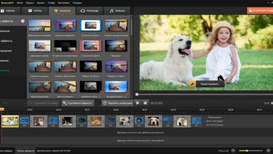 Photo of Лучшие онлайн сервисы для создания видеороликов