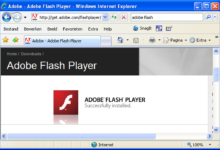 Photo of Где скачать бесплатно Adobe Flash Player
