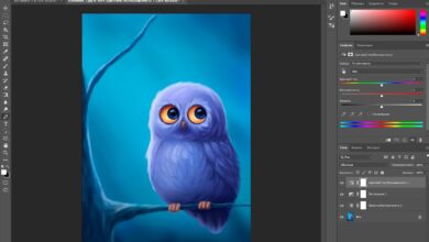 Photo of Photoshop: как научиться рисовать